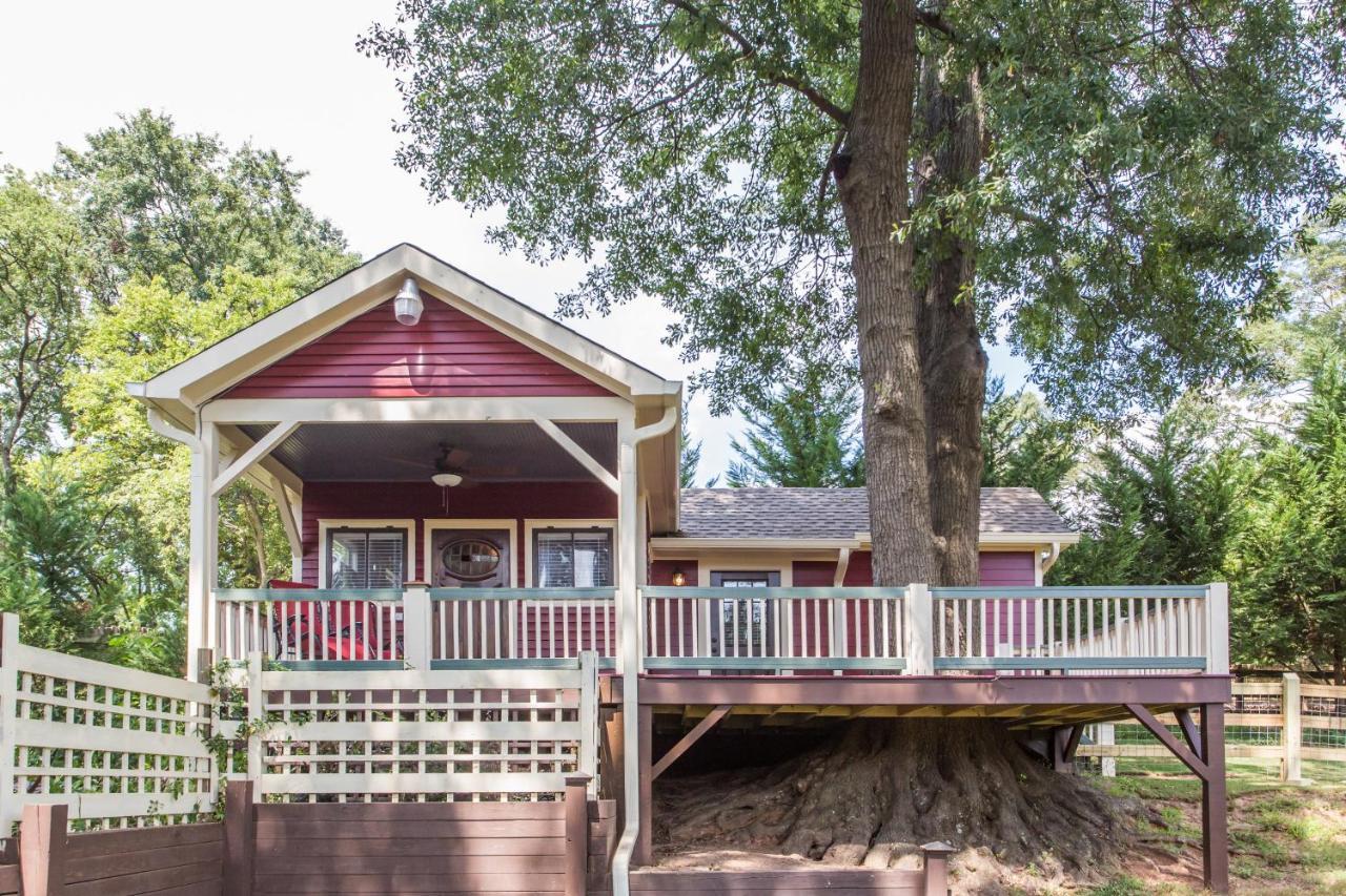 Bed & Breakfast The Social Goat 3*